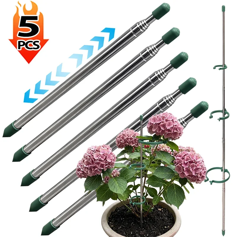 Florist Supply Bulk - 5/1 Buah Cincin Penyangga Tanaman Dapat