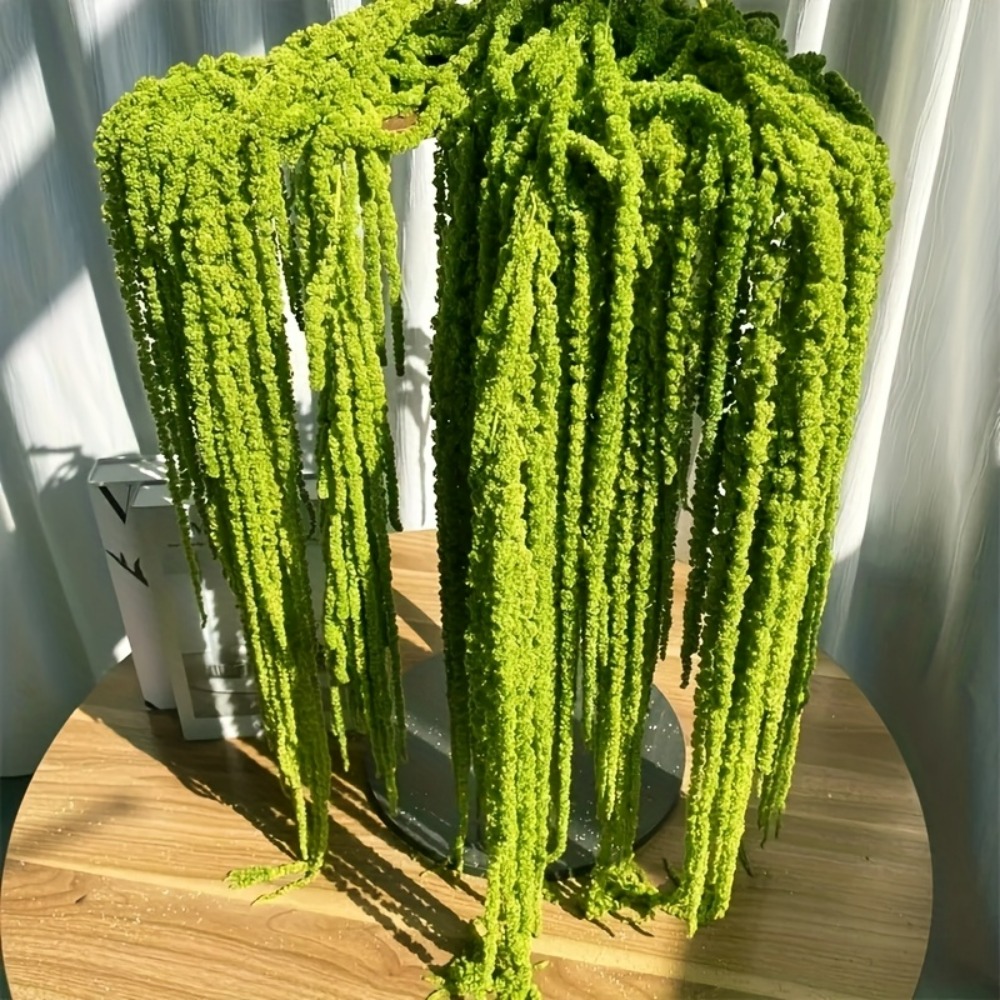 4 Set Bunga Amaranthus Buatan, - Preserved Moss Sheet ulasan dan harga