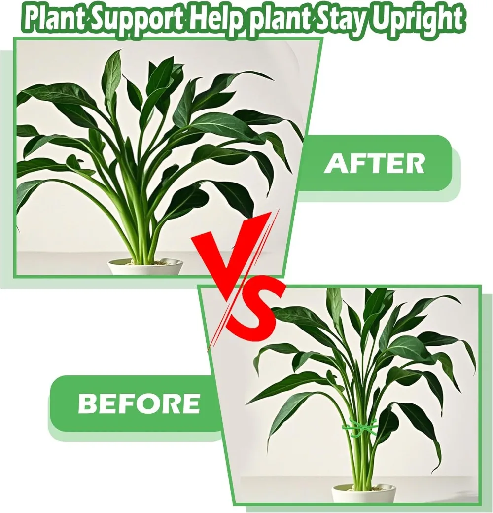 Tiang Penyangga Batang Tanaman - Florist Supply Bulk ulasan dan harga