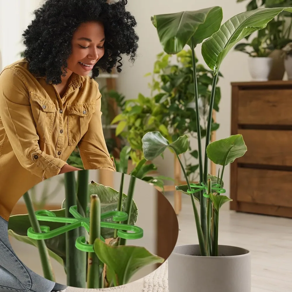 Tiang Penyangga Batang Tanaman - Florist Supply Bulk ulasan dan harga