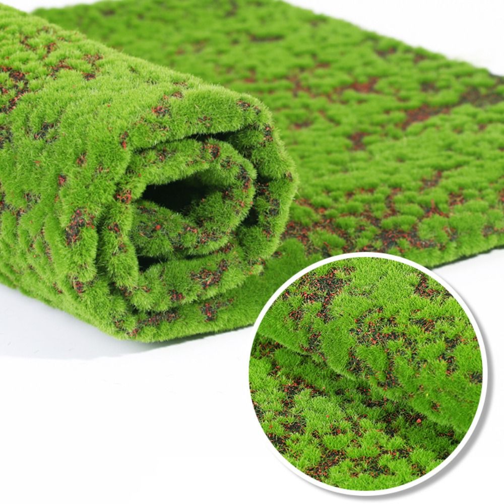 DIY rumput lumut palsu rumput  - Preserved Moss Sheet ulasan dan harga