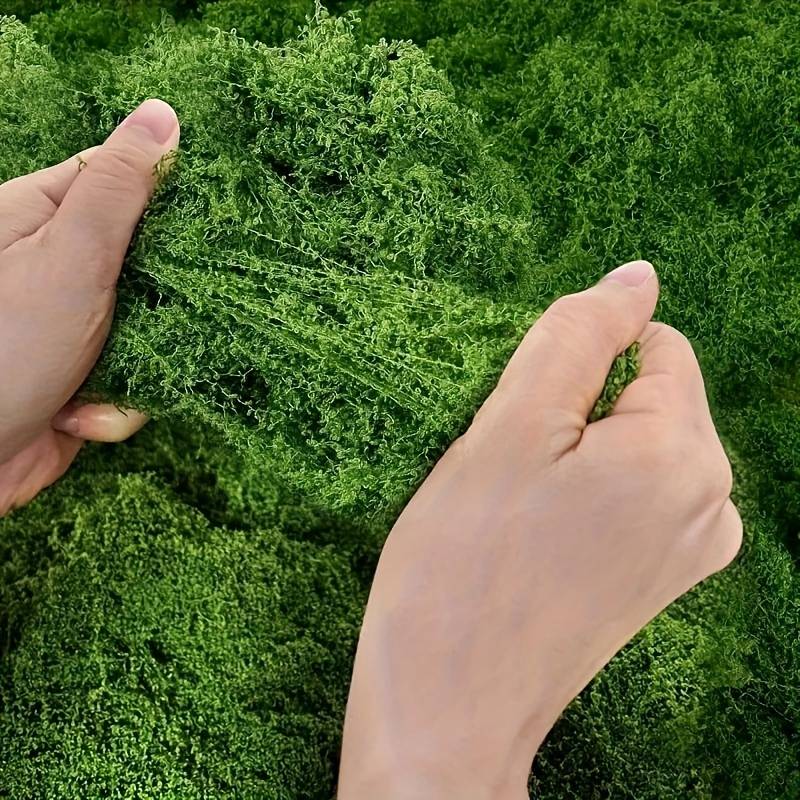 Matras Lumut Palsu 20' X 20' u - Preserved Moss Sheet ulasan dan harga