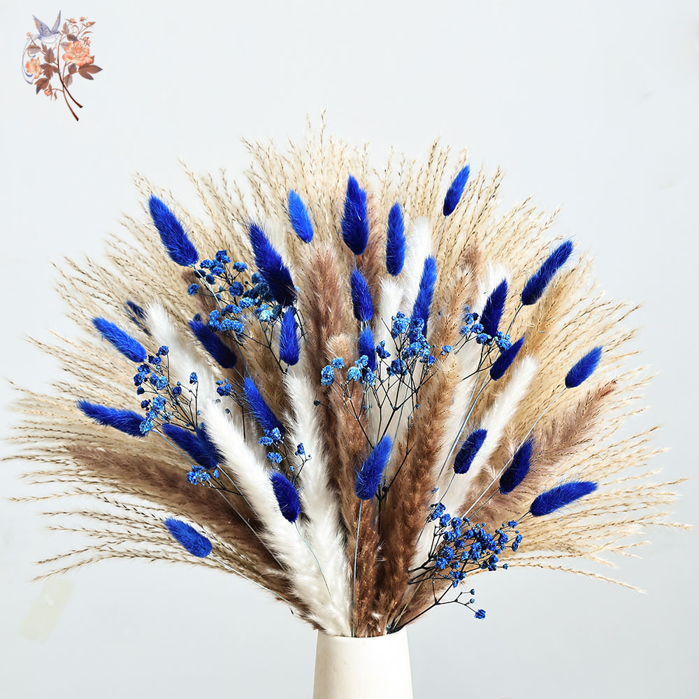 70 Batang Biru Berbulu Ekor Ke - Florist Supply Bulk ulasan dan harga