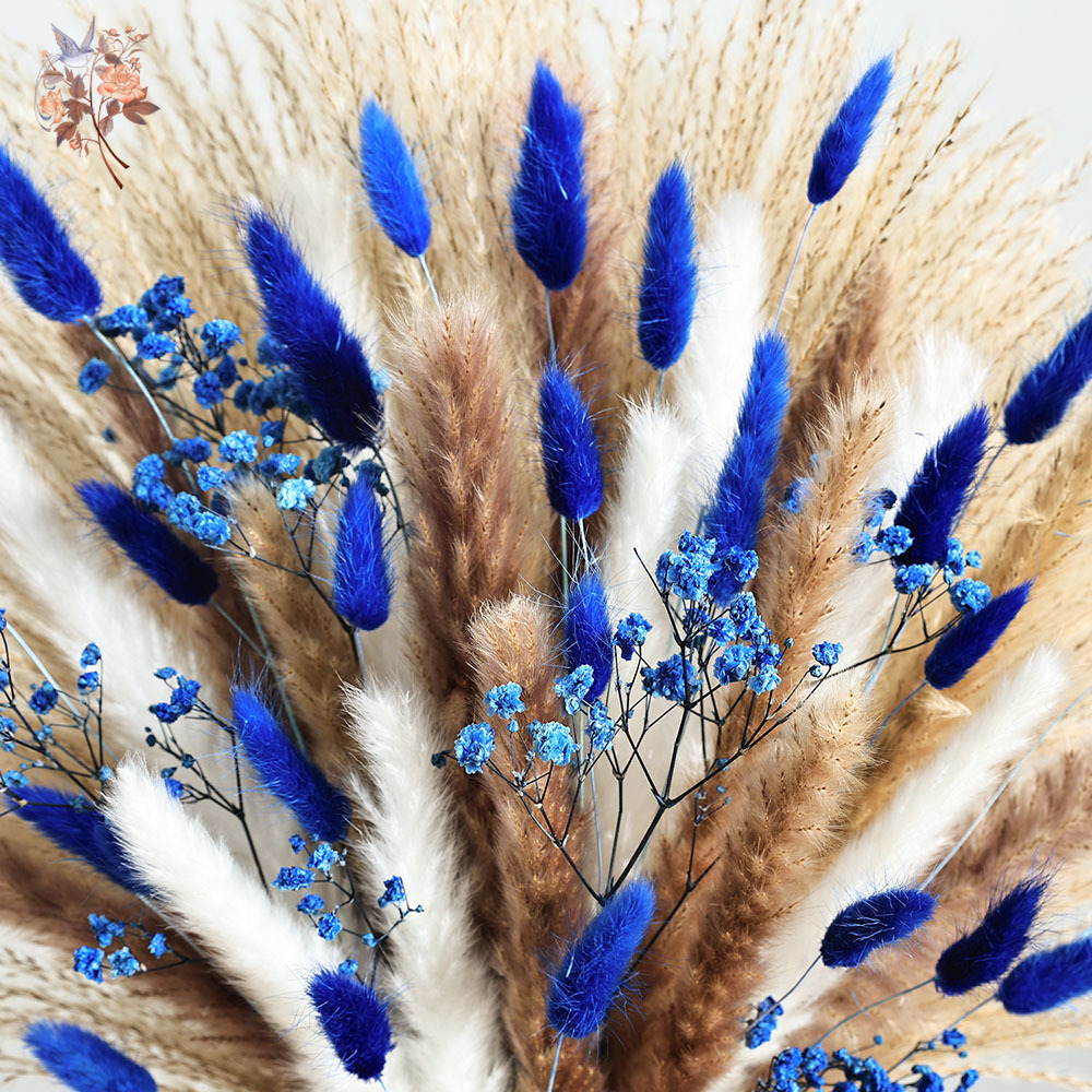 70 Batang Biru Berbulu Ekor Ke - Florist Supply Bulk ulasan dan harga