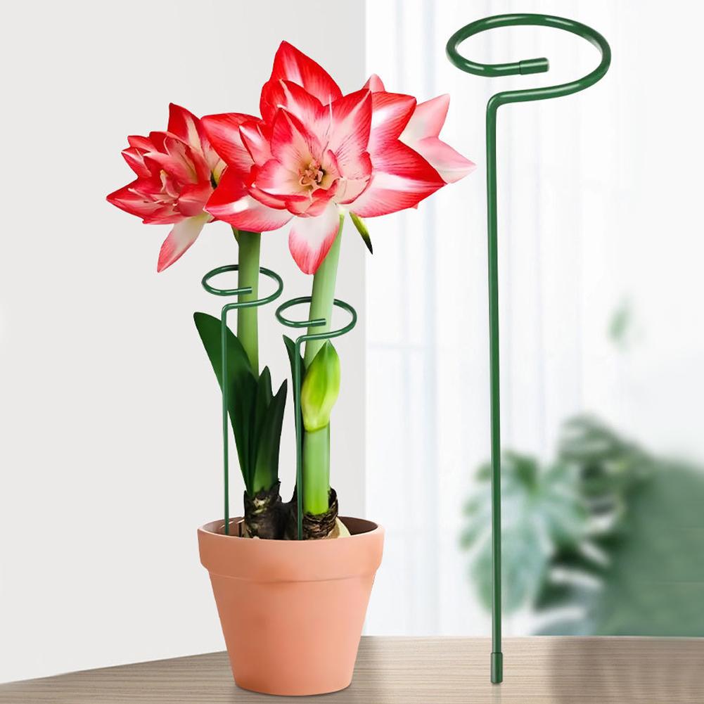 Tongkat Penyangga Tanaman Loga - Florist Supply Bulk ulasan dan harga