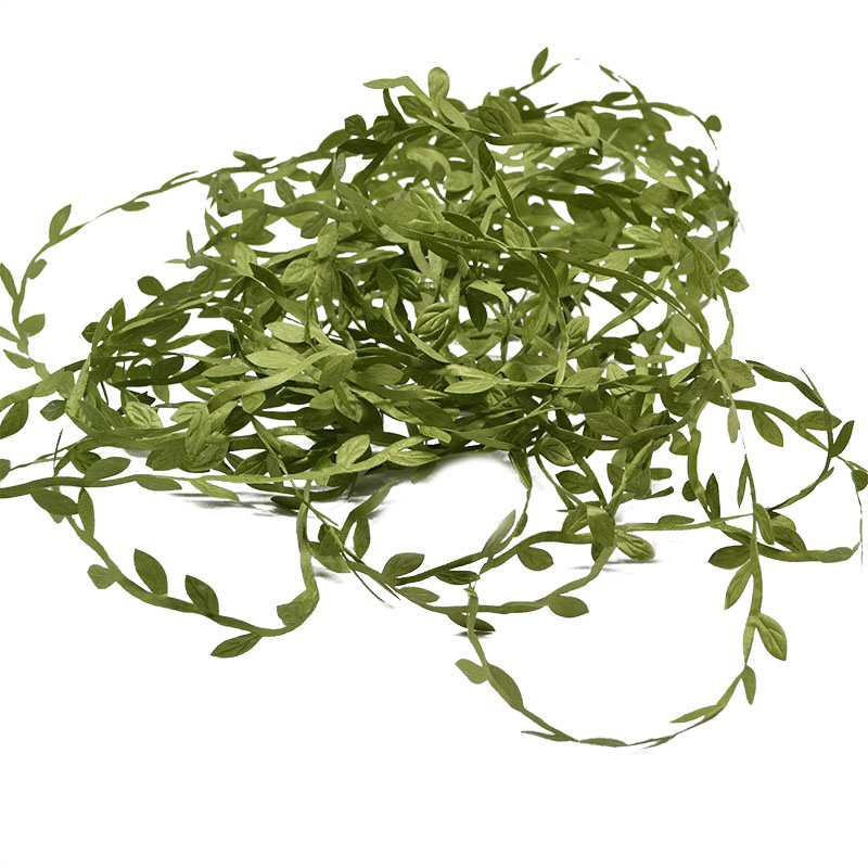 10/20M buatan tangan berbentuk - Preserved Moss Sheet ulasan dan harga