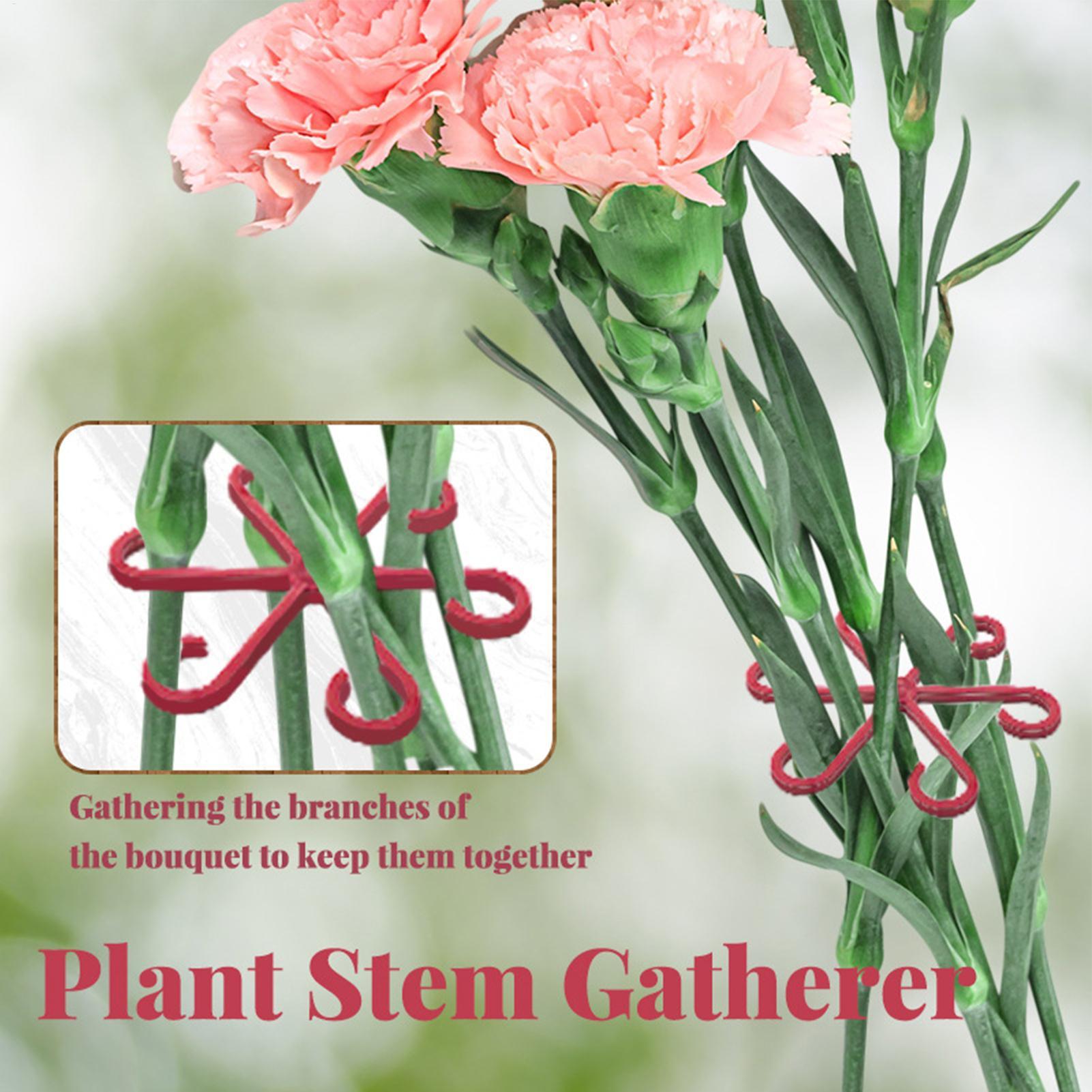 4pc Penjepit Tanaman, Penyangg - Florist Supply Bulk ulasan dan harga