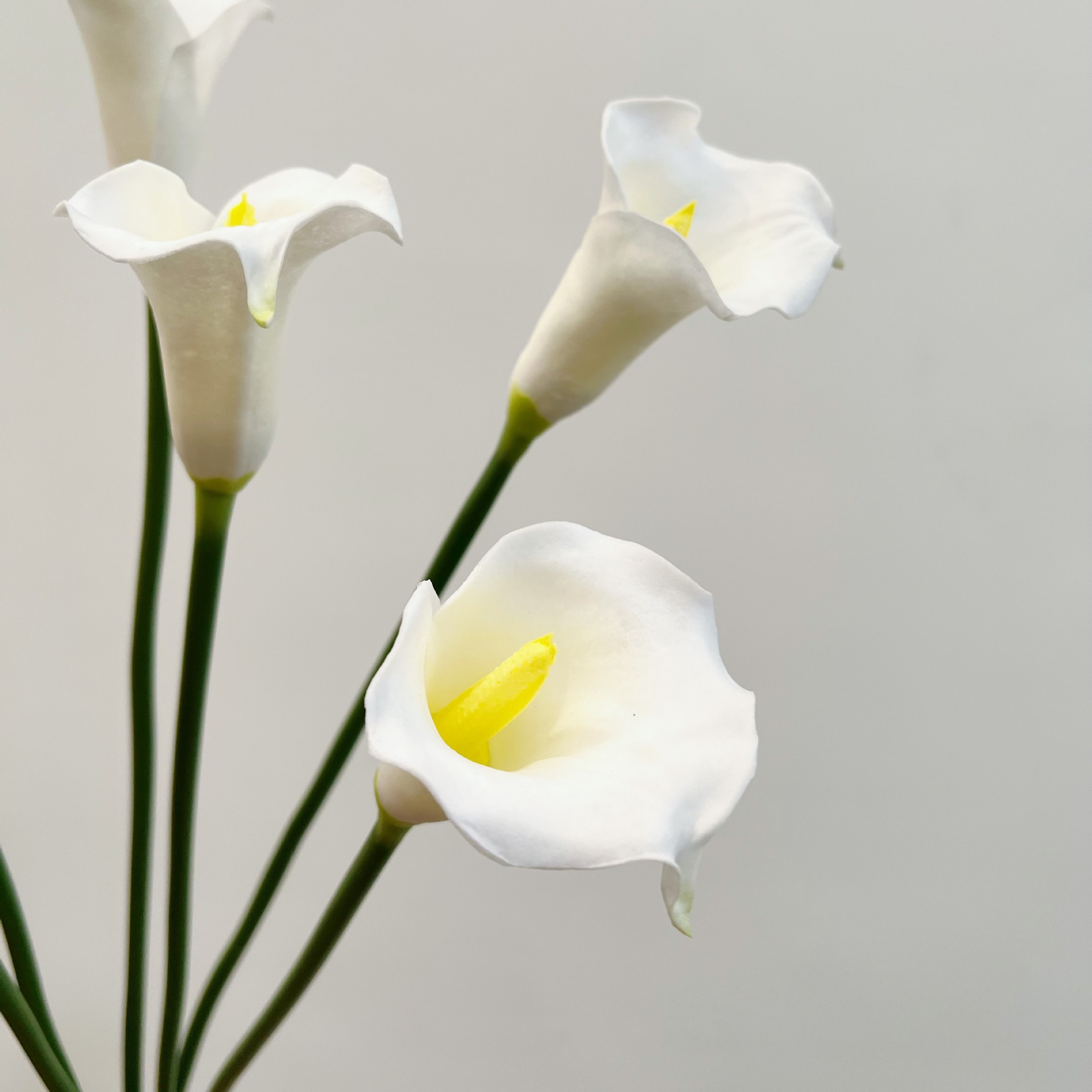Bunga Calla Lily Buatan 26 Inc - Florist Supply Bulk ulasan dan harga