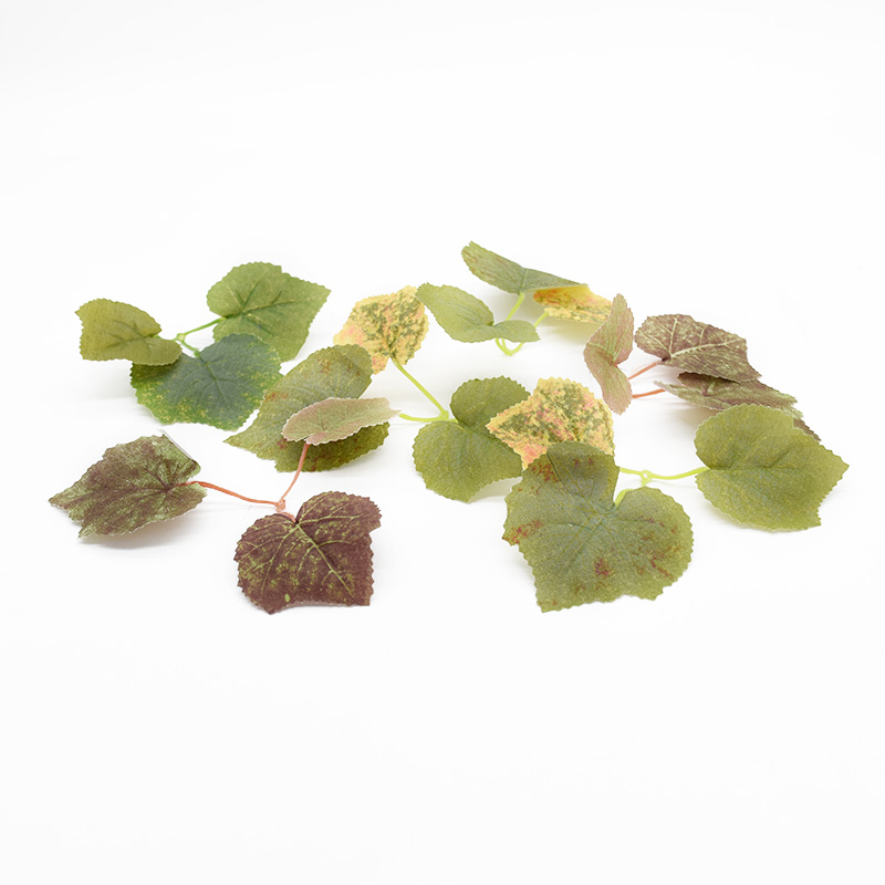 10/20 buah simulasi daun buata - Preserved Moss Sheet ulasan dan harga