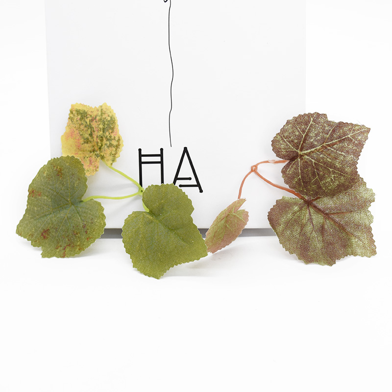 10/20 buah simulasi daun buata - Preserved Moss Sheet ulasan dan harga