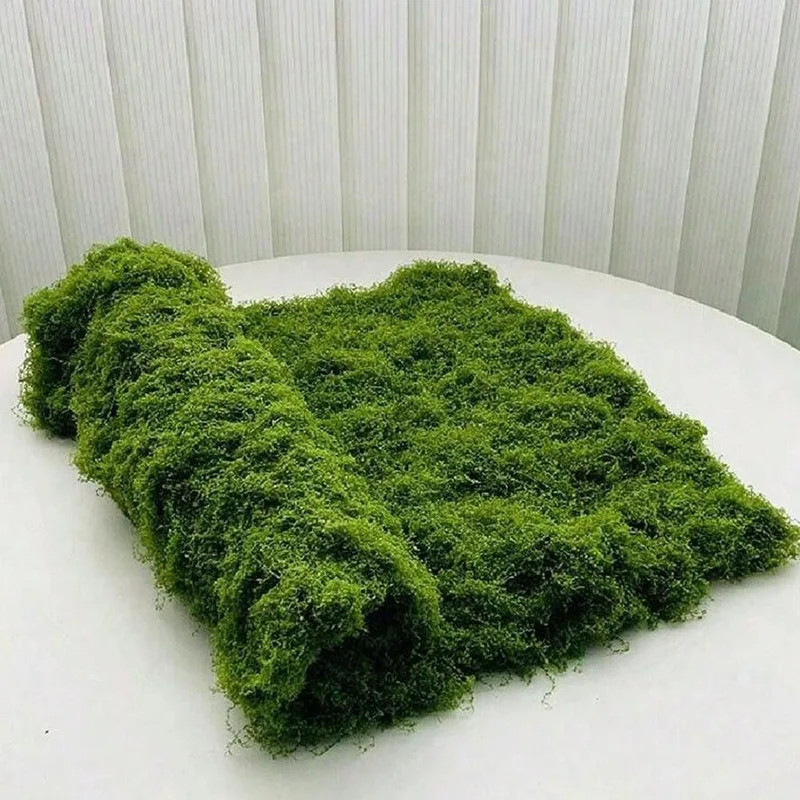 Lumut buatan untuk dekorasi mi - Preserved Moss Sheet ulasan dan harga