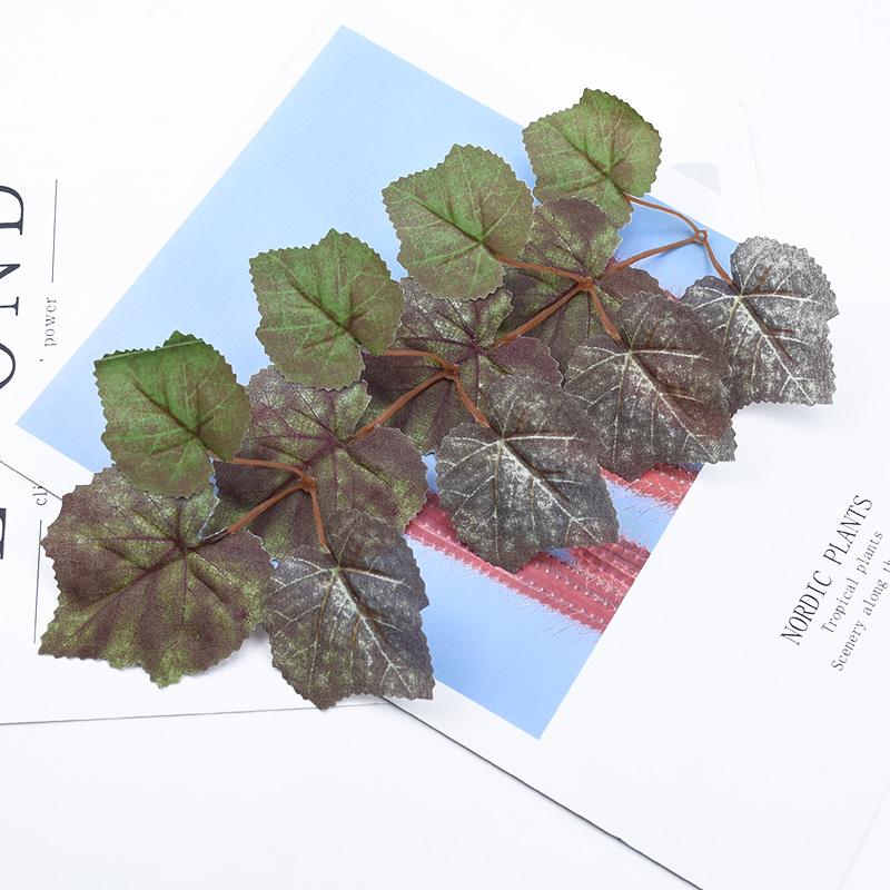 30/100 buah daun Maple sutra A - Preserved Moss Sheet ulasan dan harga
