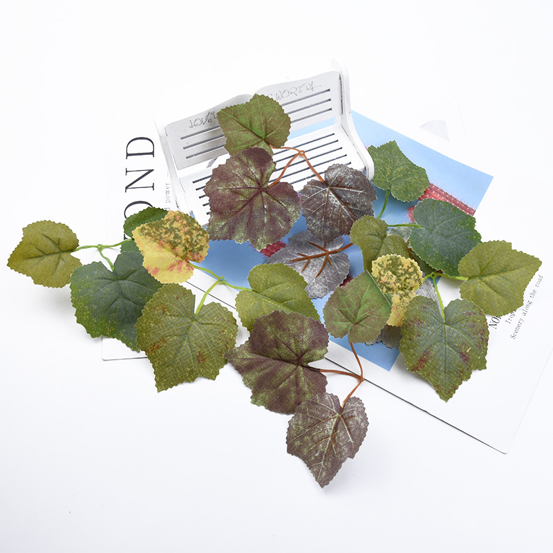 30/100 buah daun Maple sutra A - Preserved Moss Sheet ulasan dan harga