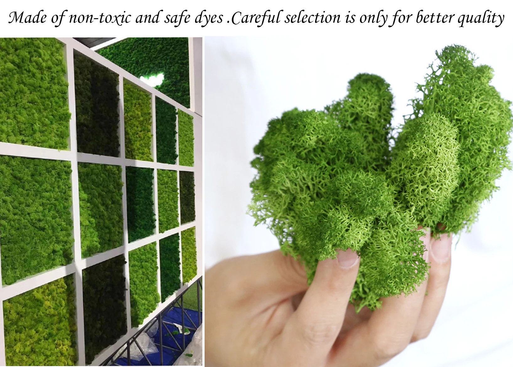 Lumut buatan untuk tanaman pot - Preserved Moss Sheet ulasan dan harga