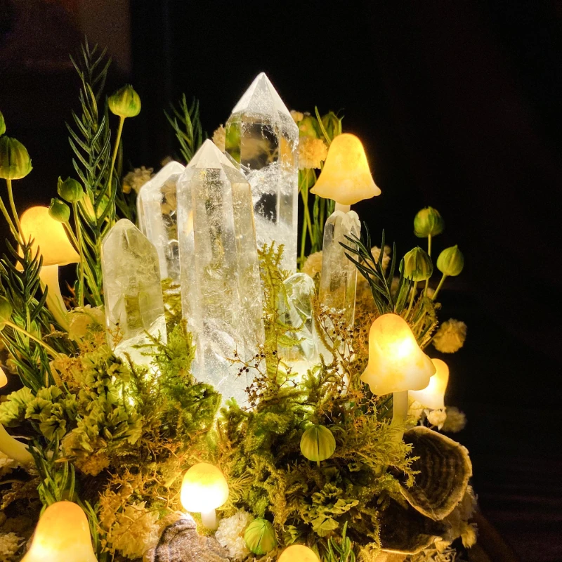 Lampu Malam Jamur dengan Kubah - Preserved Moss Sheet ulasan dan harga