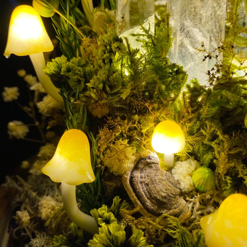 Lampu Malam Jamur dengan Kubah - Preserved Moss Sheet ulasan dan harga