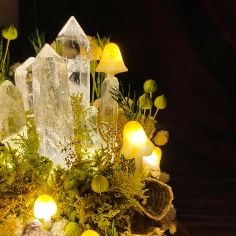 Lampu Malam Jamur dengan Kubah - Preserved Moss Sheet ulasan dan harga