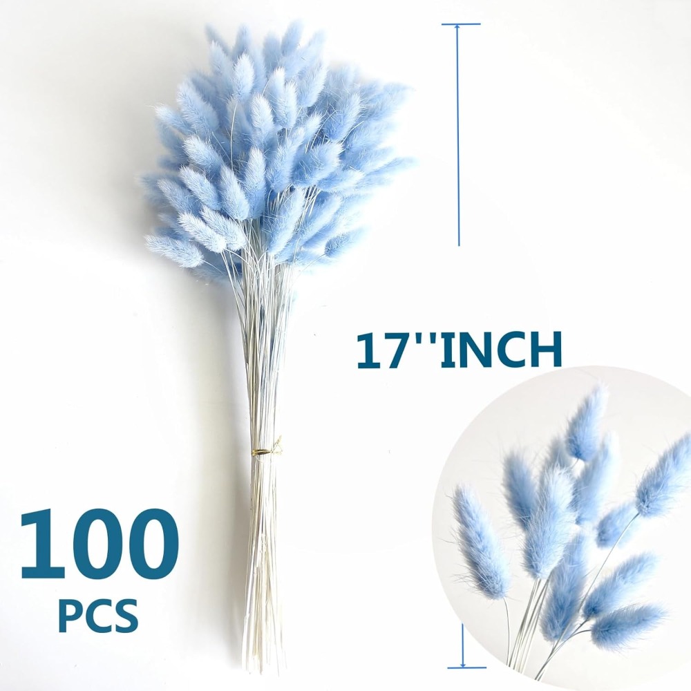 100 Buah Ekor Kelinci Biru Rum - Florist Supply Vases ulasan dan harga