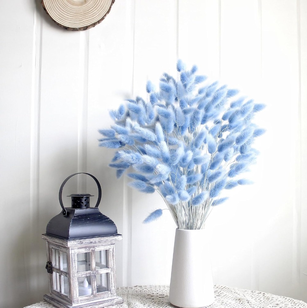 100 Buah Ekor Kelinci Biru Rum - Florist Supply Vases ulasan dan harga
