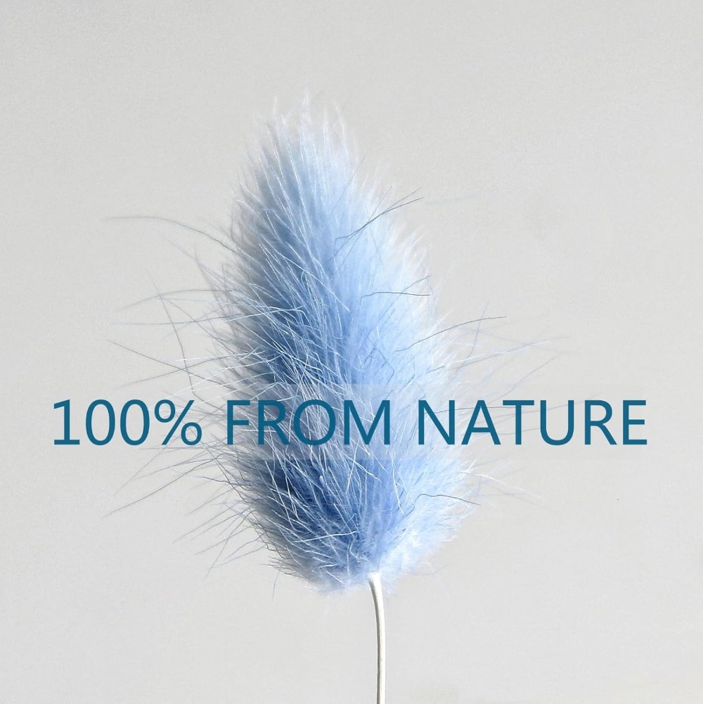 100 Buah Ekor Kelinci Biru Rum - Florist Supply Vases ulasan dan harga